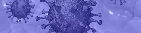 Mavileo annuleert alle activiteiten